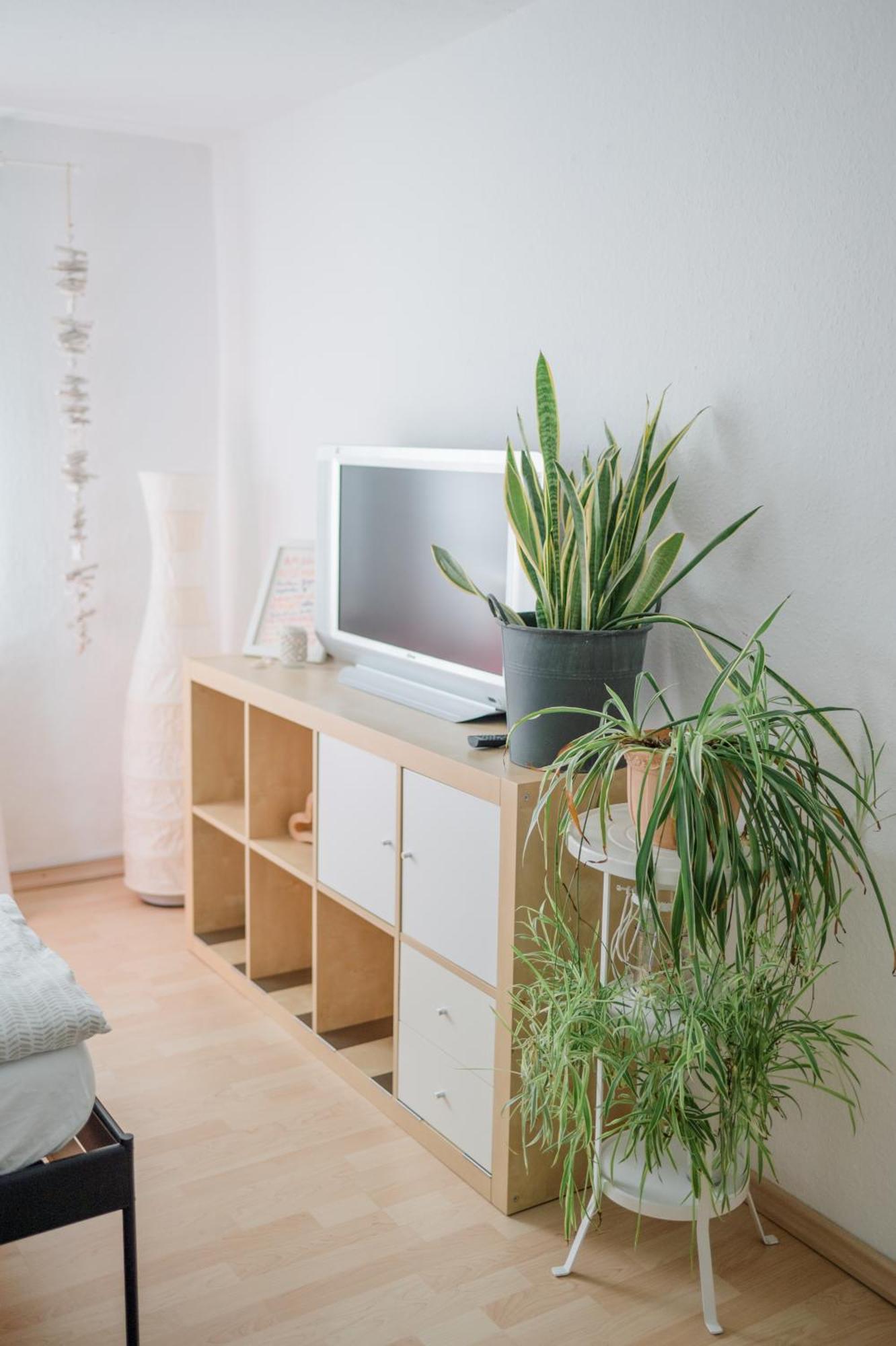 Buchlindenweg - Zimmer & Ferienwohnung Breitscheid  Luaran gambar